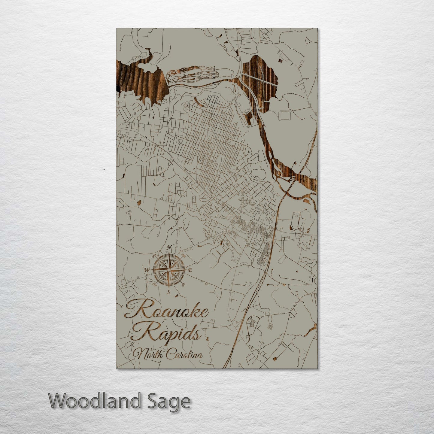 Roanoke Rapids, North Carolina Street Map