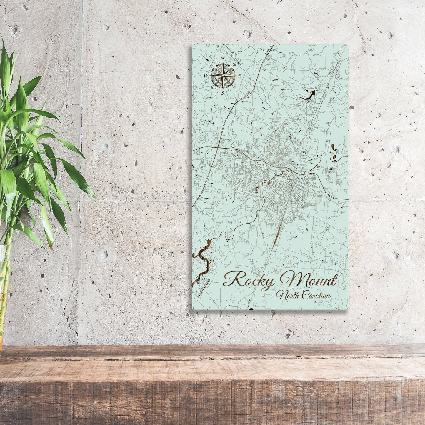 Rocky Mount, North Carolina Street Map