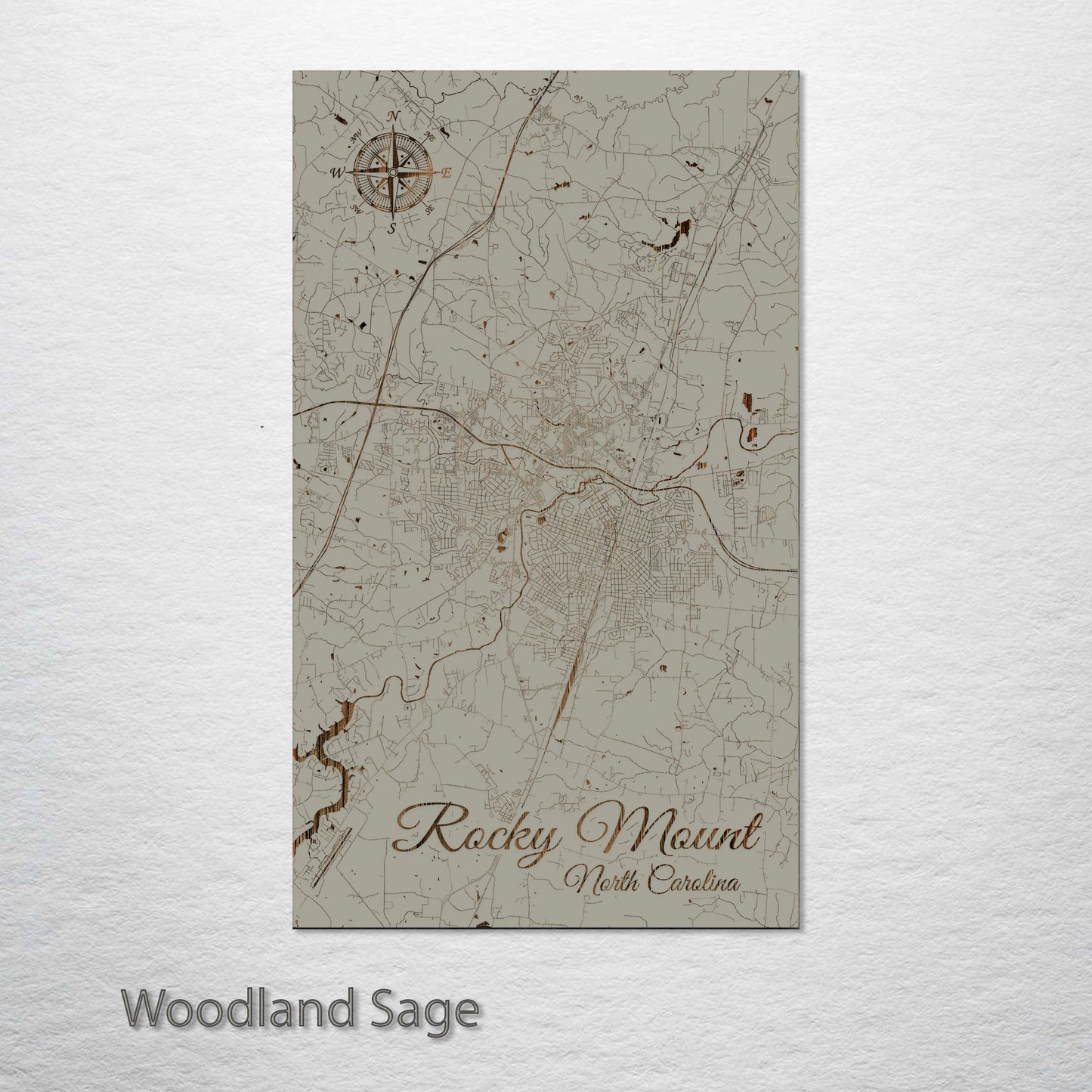 Rocky Mount, North Carolina Street Map