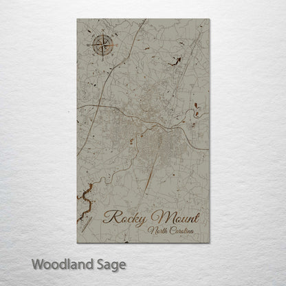 Rocky Mount, North Carolina Street Map