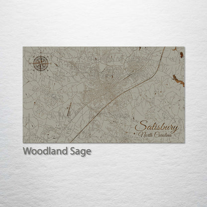 Salisbury, North Carolina Street Map