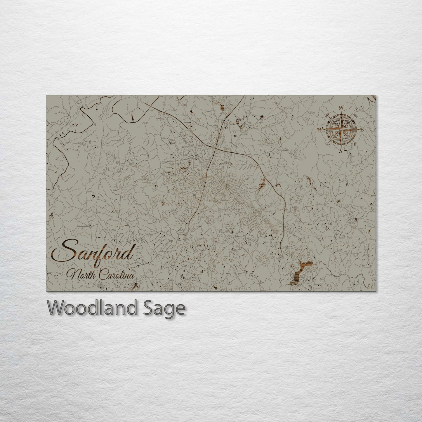 Sanford, North Carolina Street Map