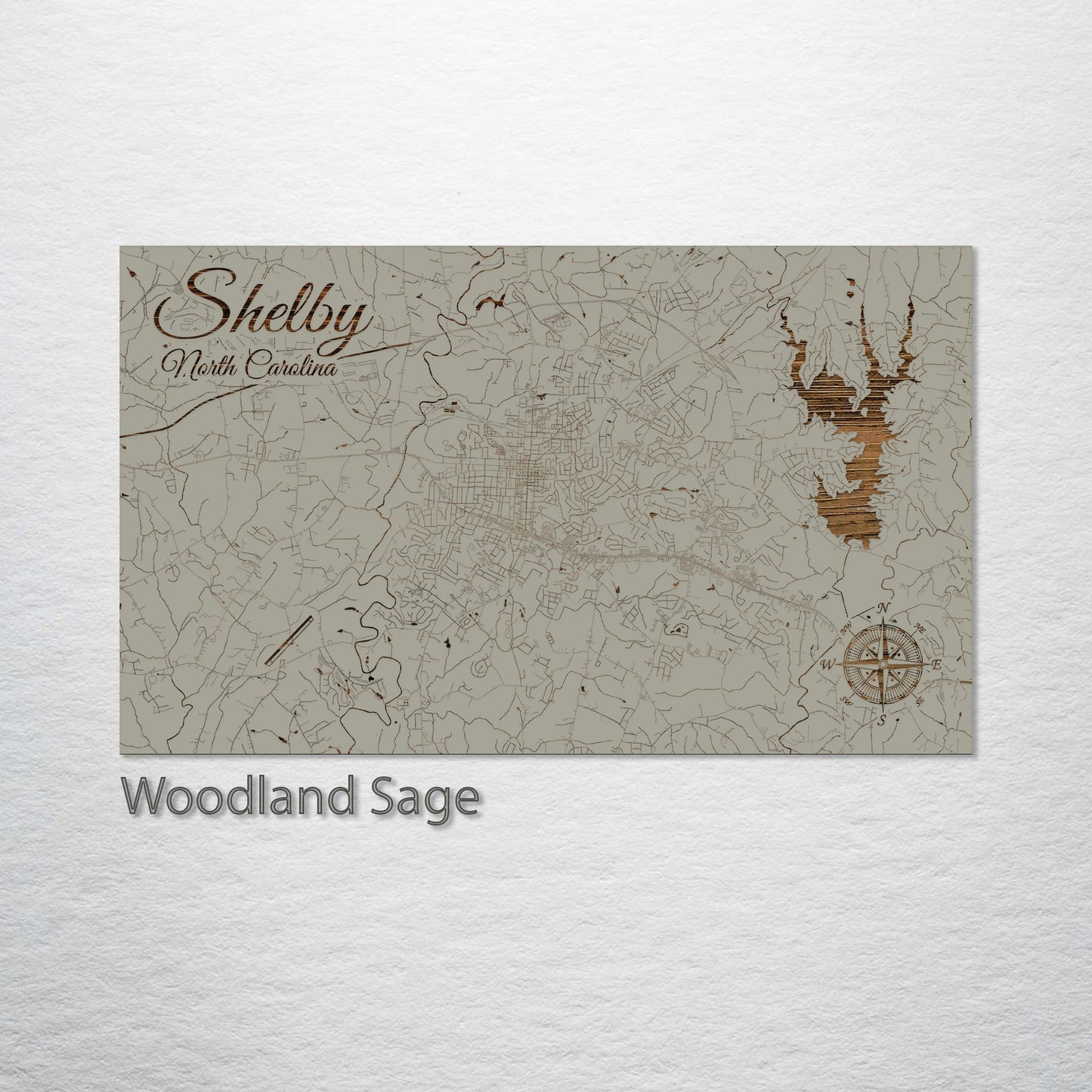 Shelby, North Carolina Street Map