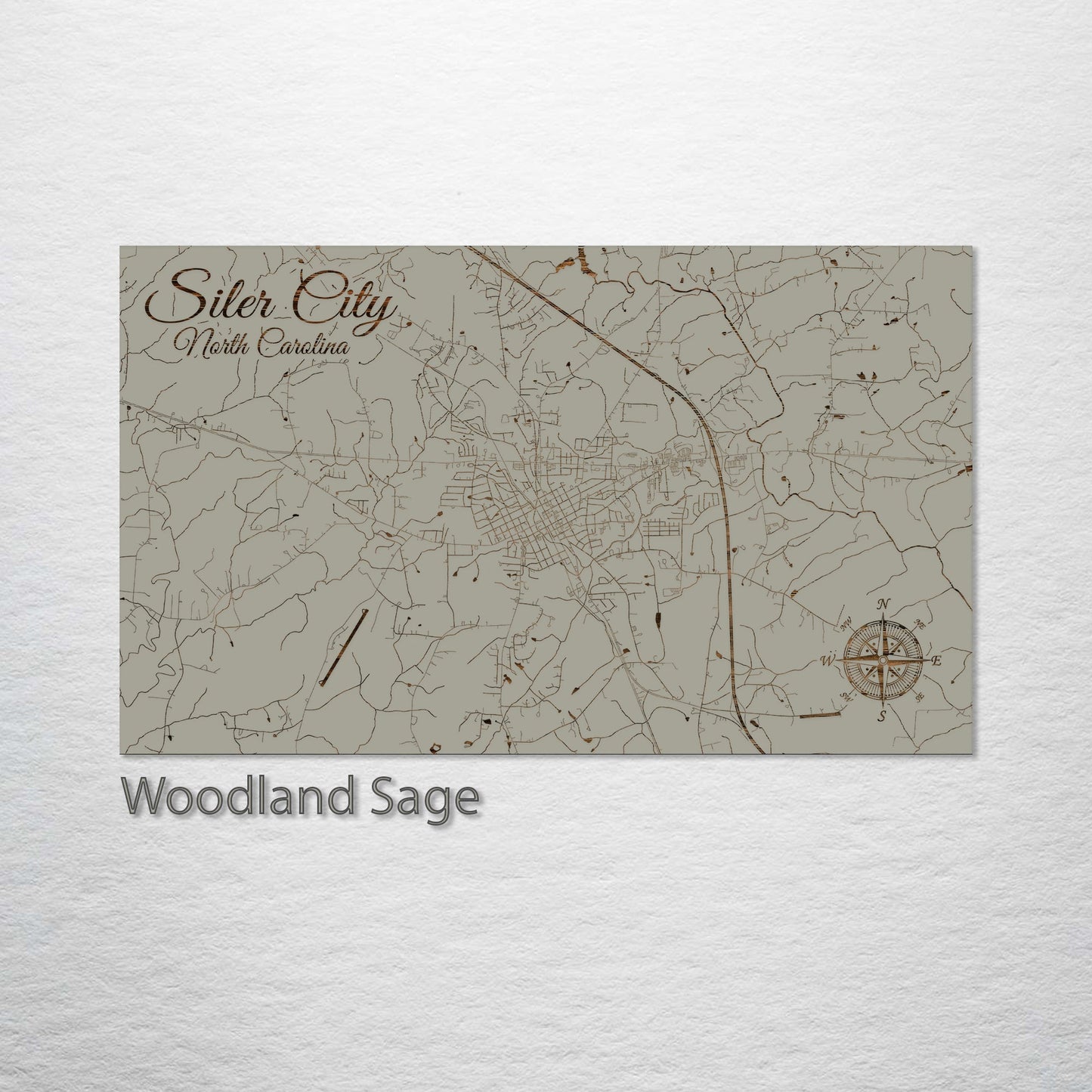 Siler City, North Carolina Street Map