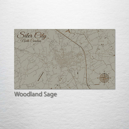 Siler City, North Carolina Street Map