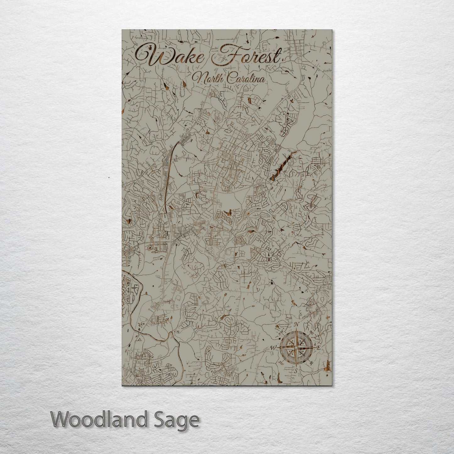 Wake Forest, North Carolina Street Map