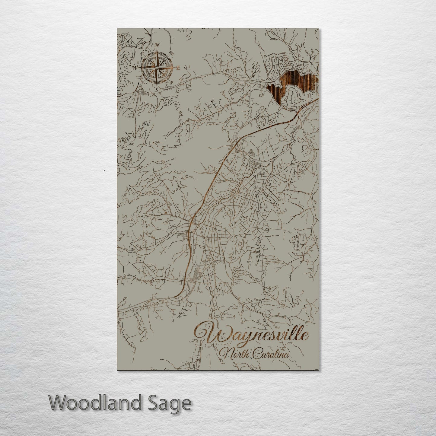 Waynesville, North Carolina Street Map