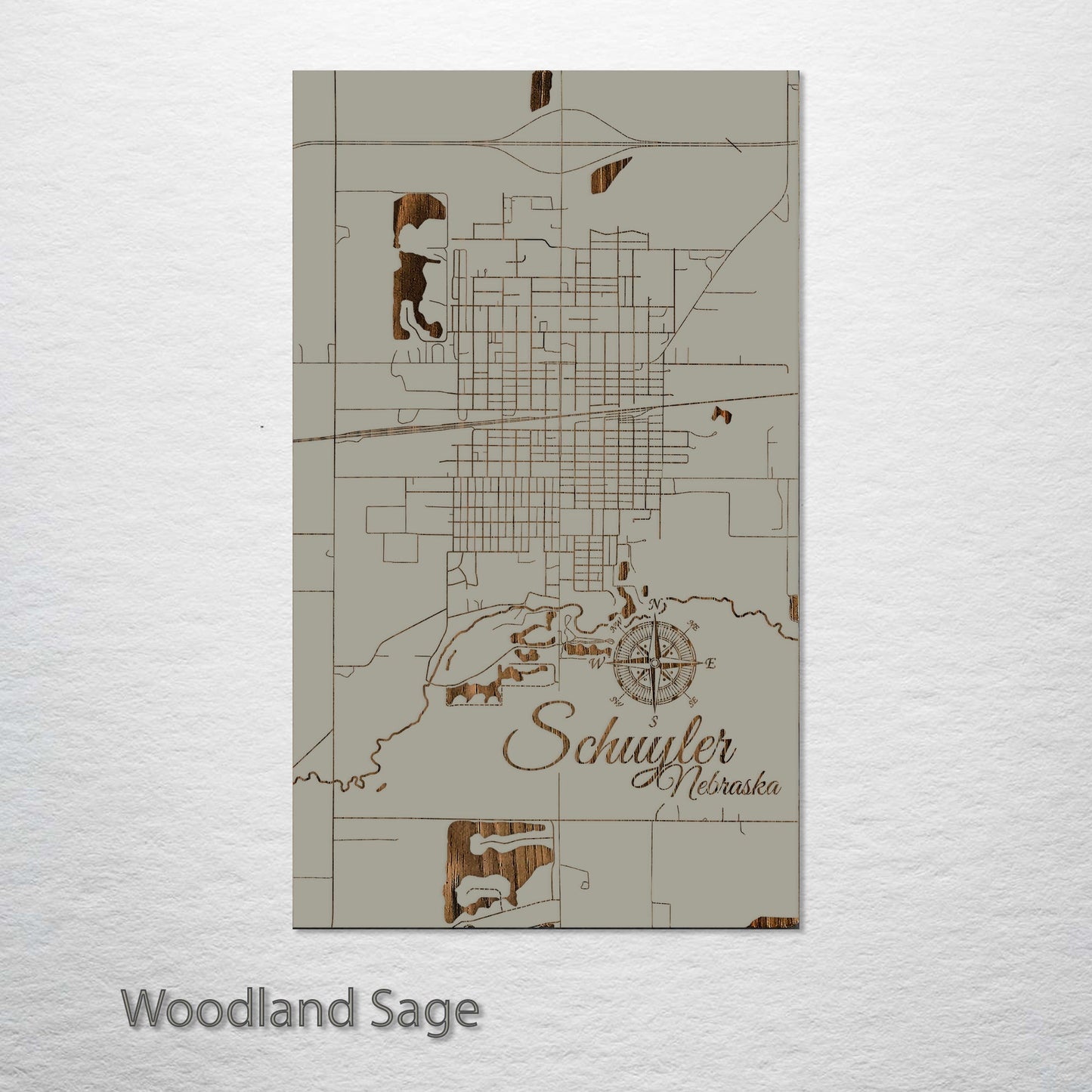 Schuyler, Nebraska Street Map