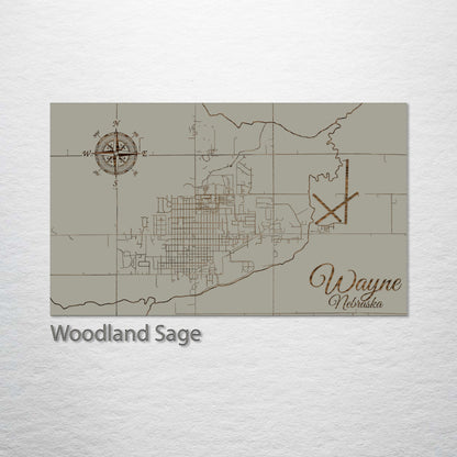 Wayne, Nebraska Street Map