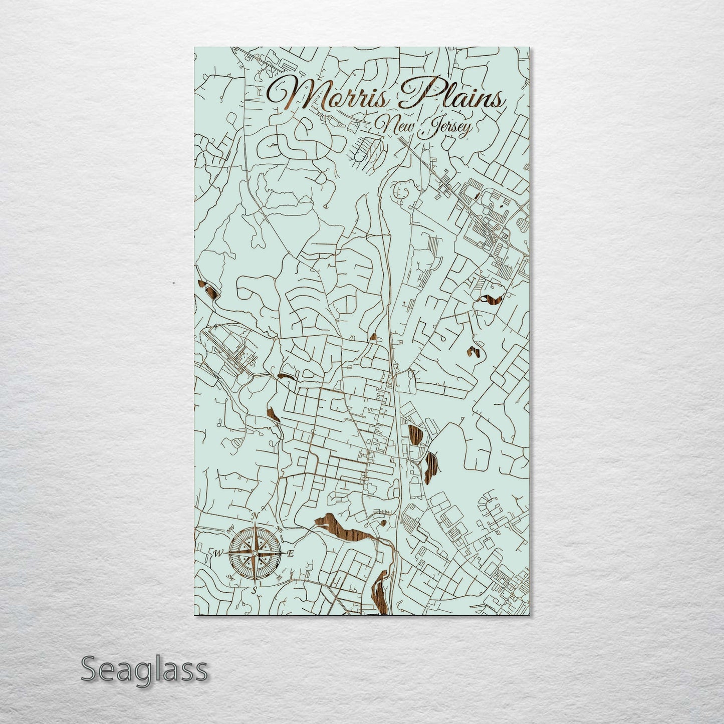 Morris Plains, New Jersey Street Map