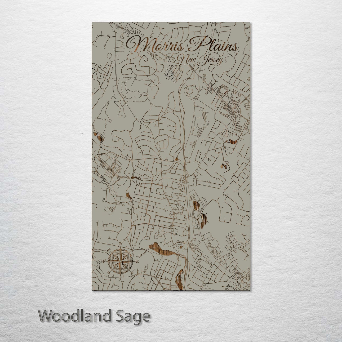 Morris Plains, New Jersey Street Map