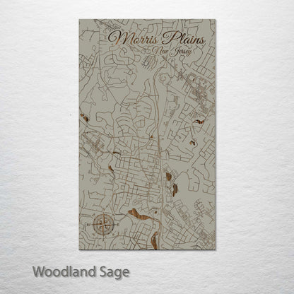 Morris Plains, New Jersey Street Map