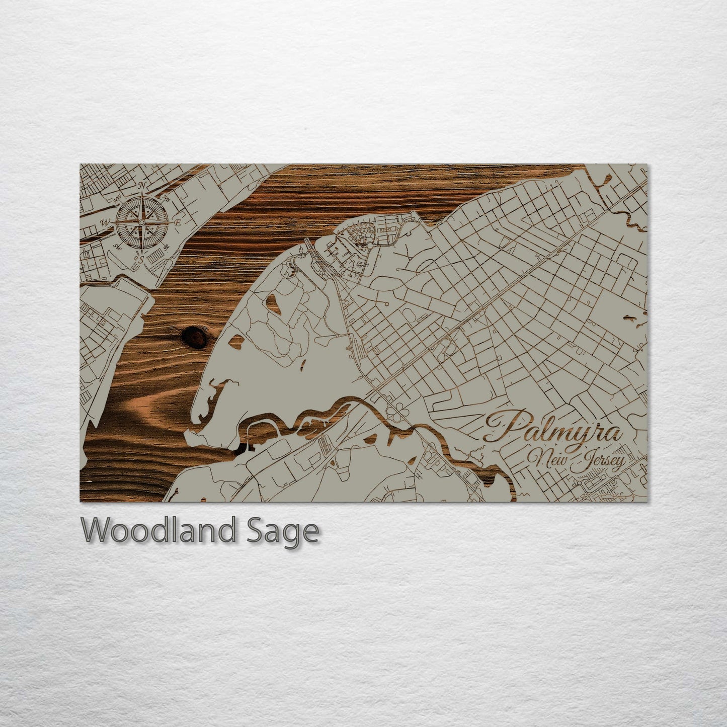 Palmyra, New Jersey Street Map