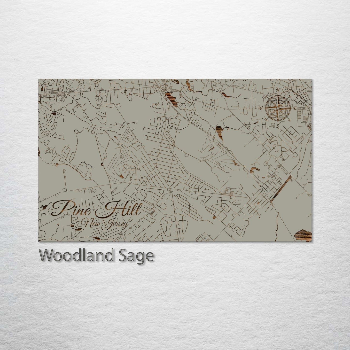 Pine Hill, New Jersey Street Map