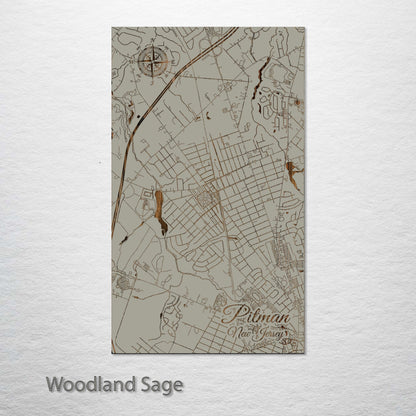 Pitman, New Jersey Street Map