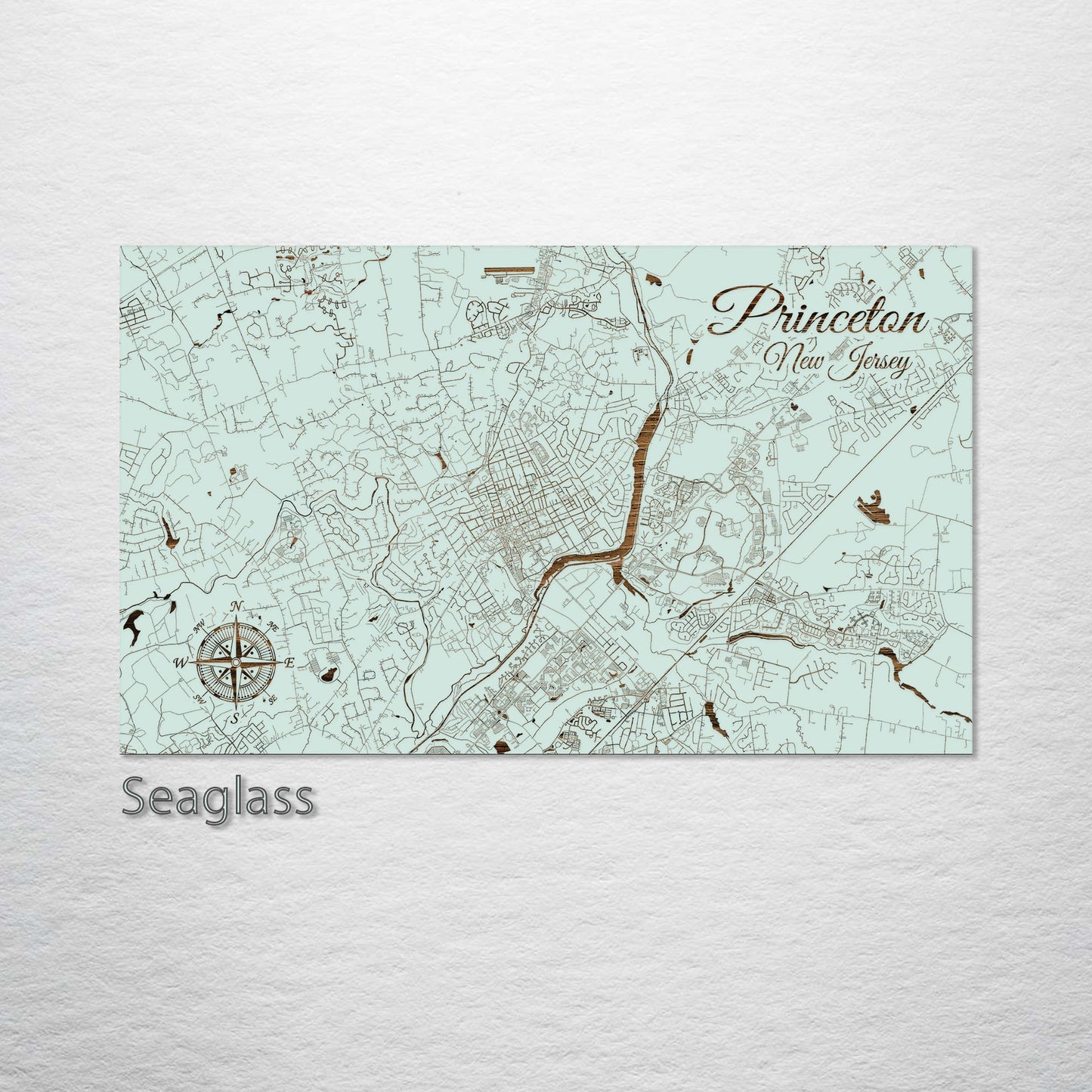 Princeton, New Jersey Street Map