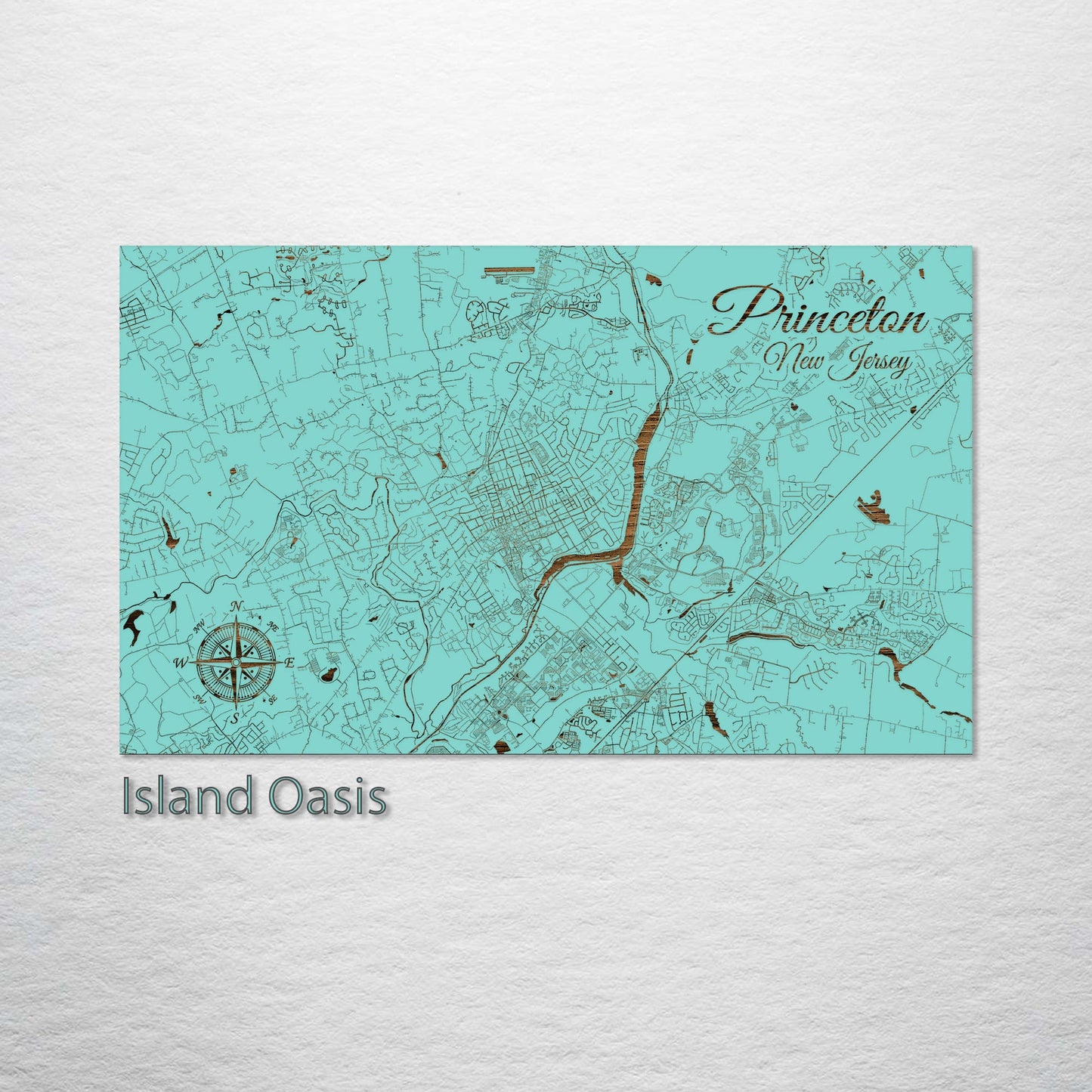 Princeton, New Jersey Street Map