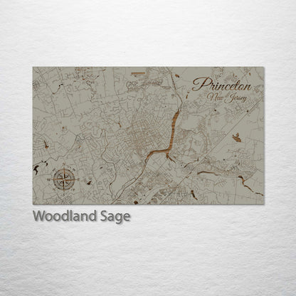 Princeton, New Jersey Street Map