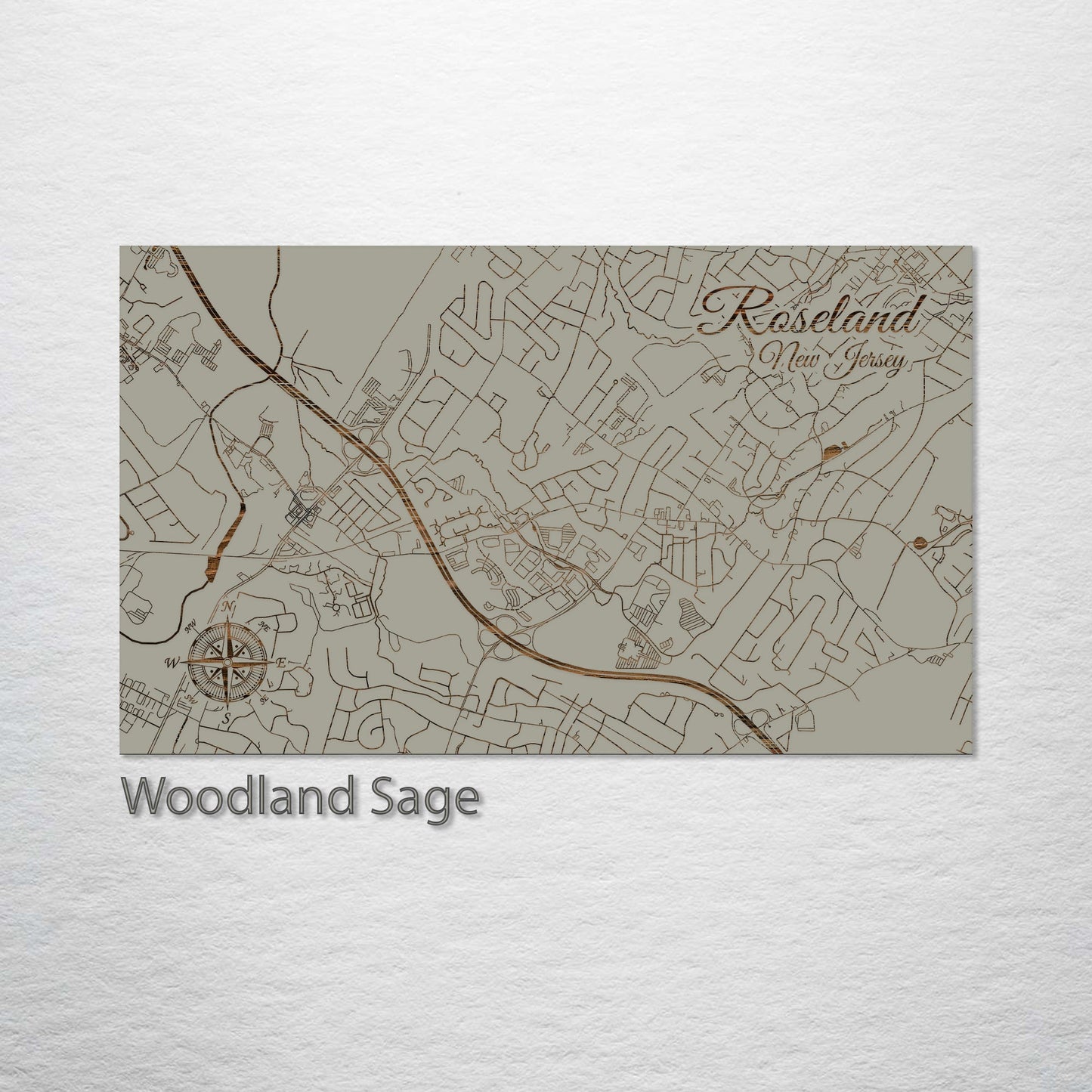 Roseland, New Jersey Street Map