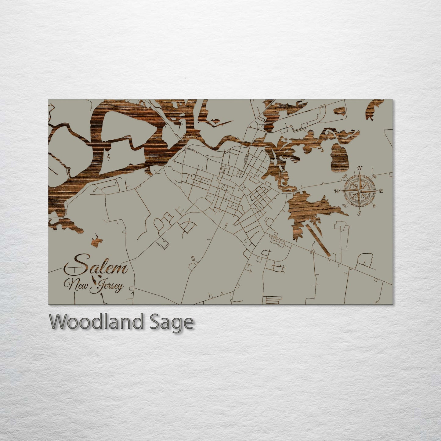 Salem, New Jersey Street Map