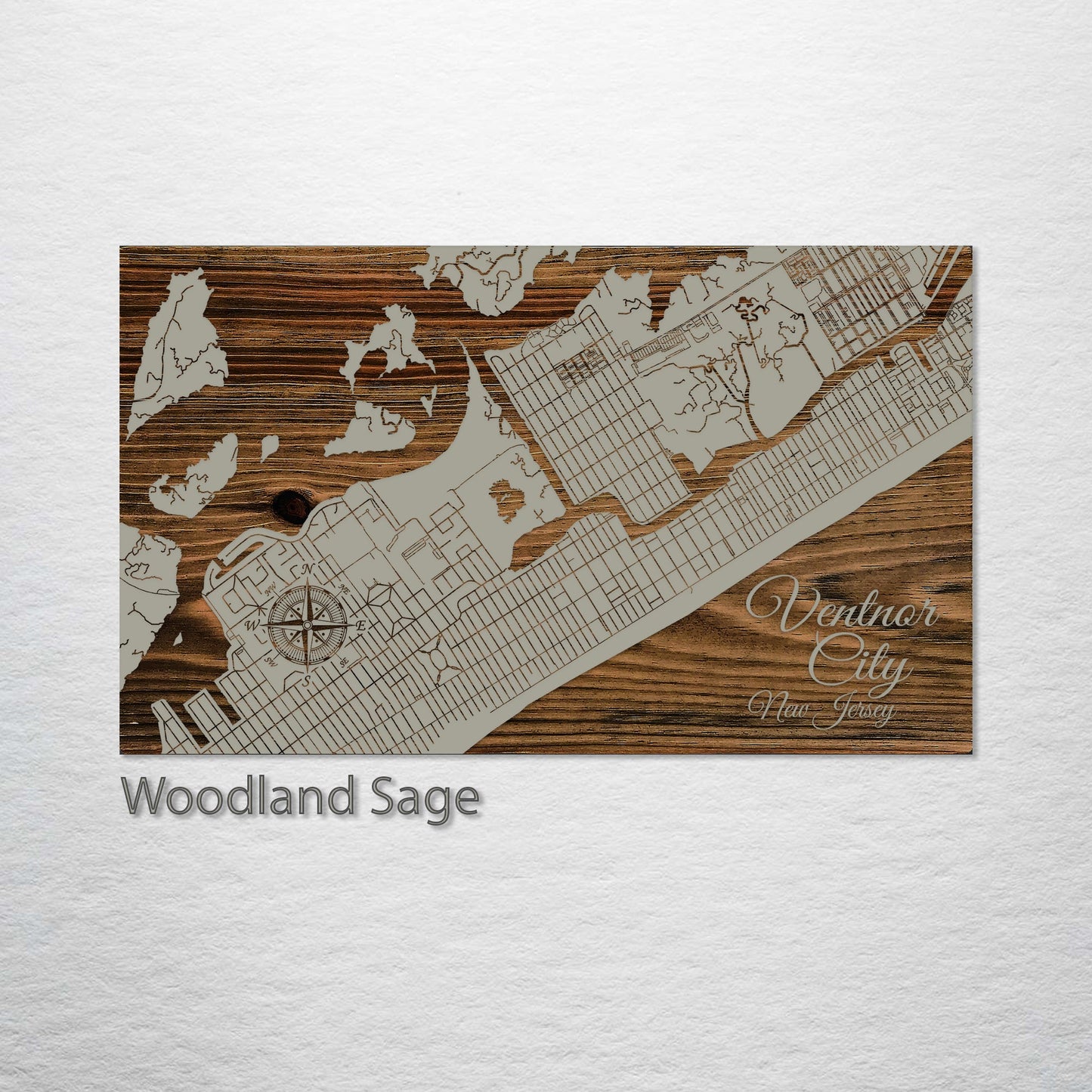 Ventnor City, New Jersey Street Map