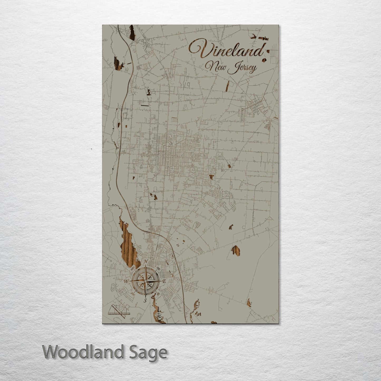 Vineland, New Jersey Street Map