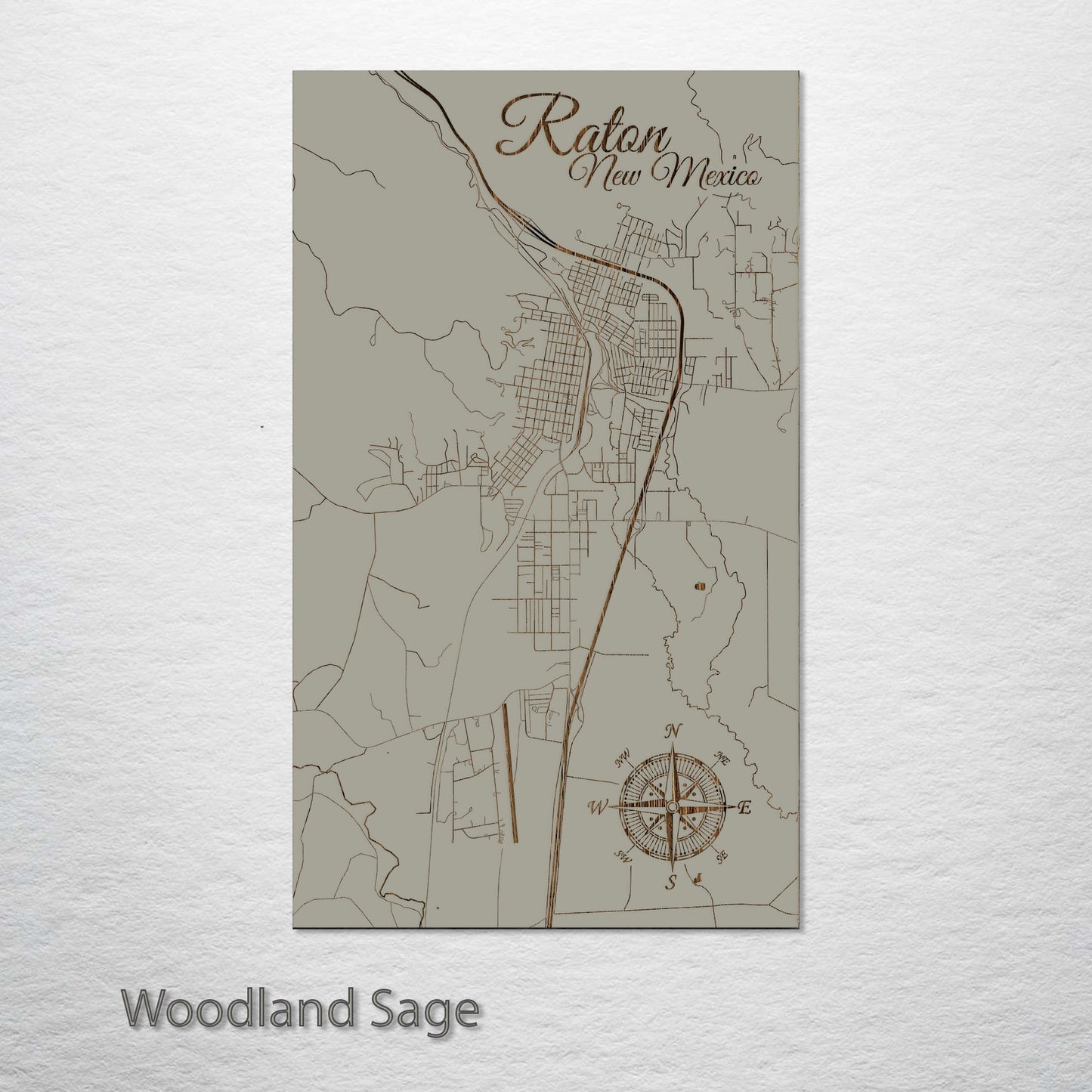 Raton, New Mexico Street Map