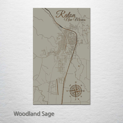 Raton, New Mexico Street Map