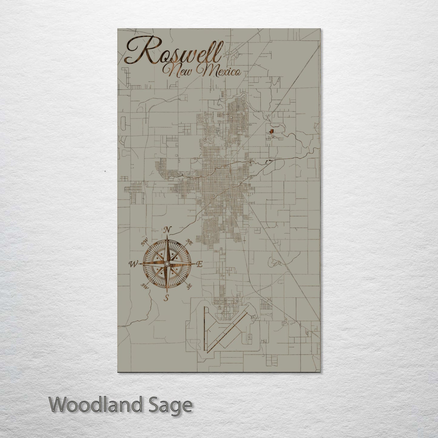 Roswell, New Mexico Street Map