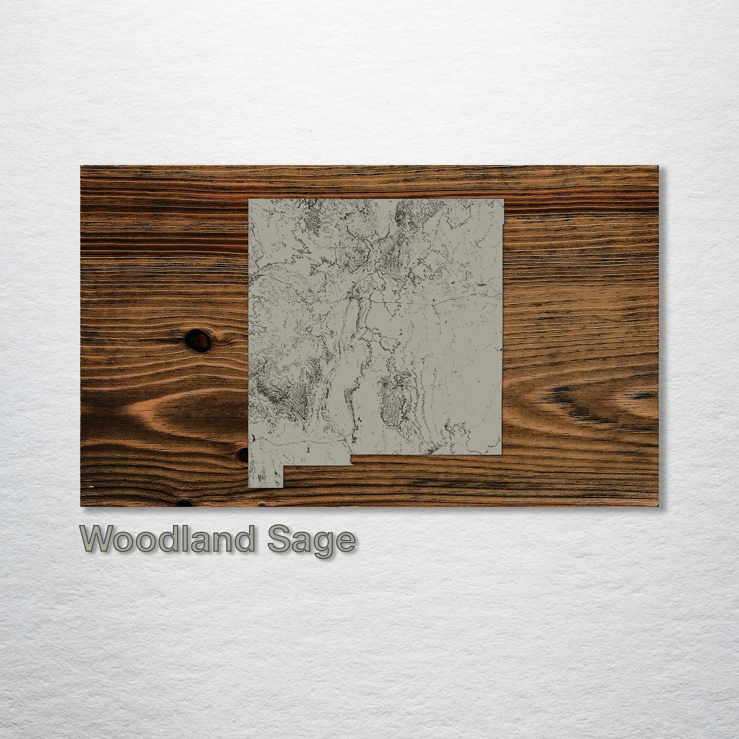 New Mexico Isolated Map (SCH-3X)