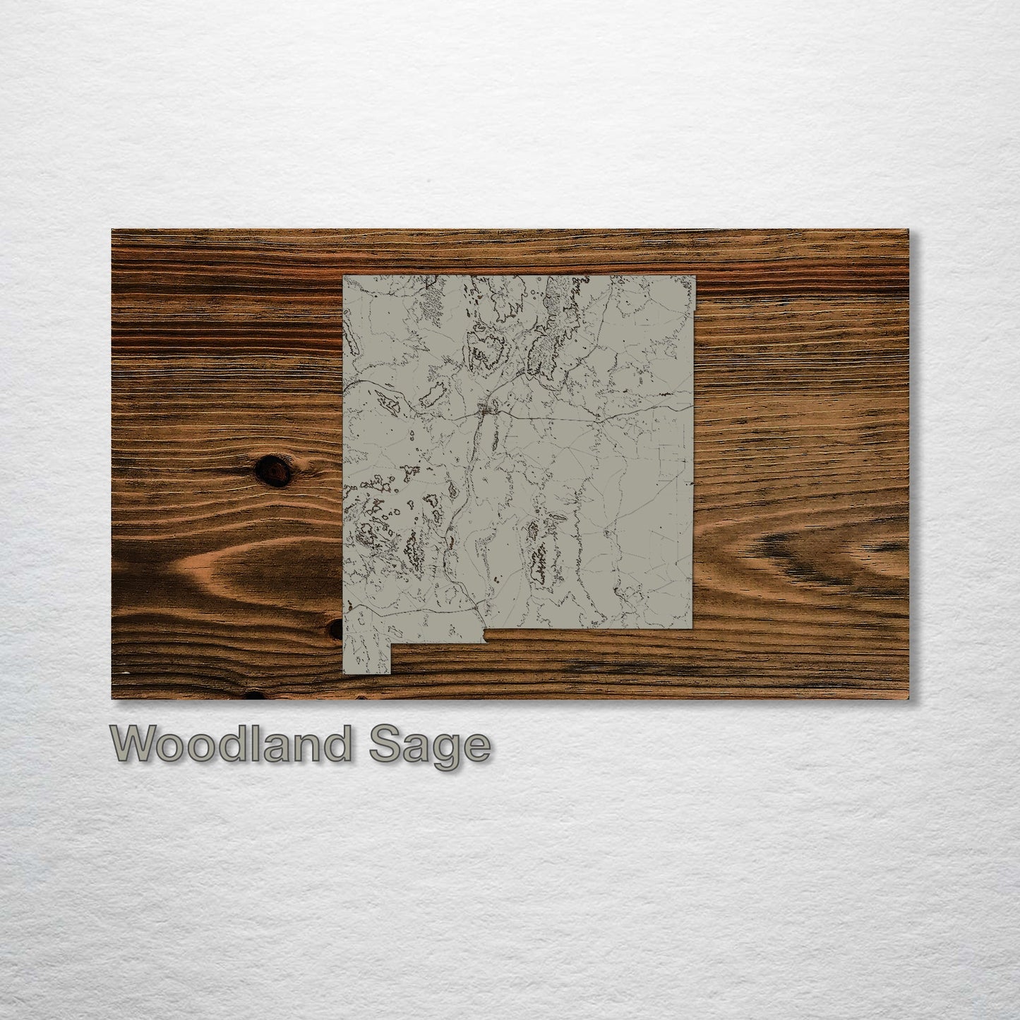 New Mexico Isolated Map (MI-SM)