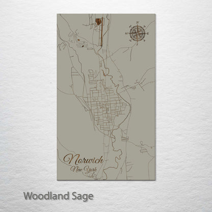 Norwich, New York Street Map