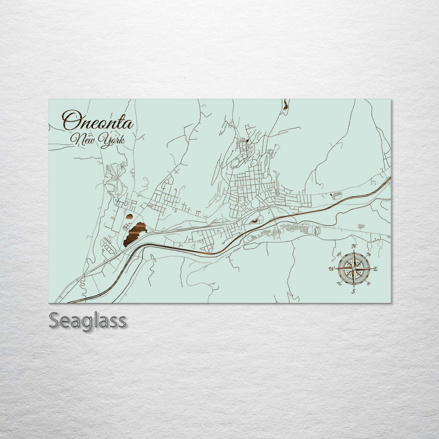 Oneonta, New York Street Map