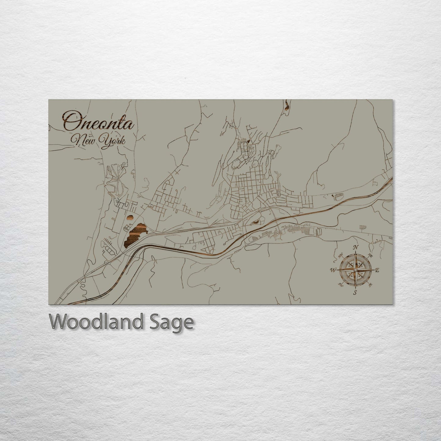 Oneonta, New York Street Map