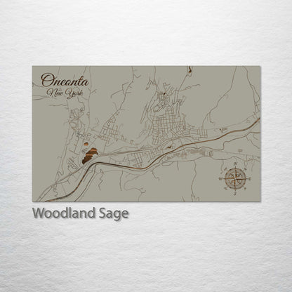 Oneonta, New York Street Map