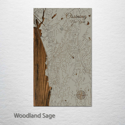 Ossining, New York Street Map