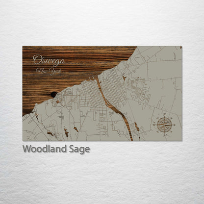 Oswego, New York Street Map