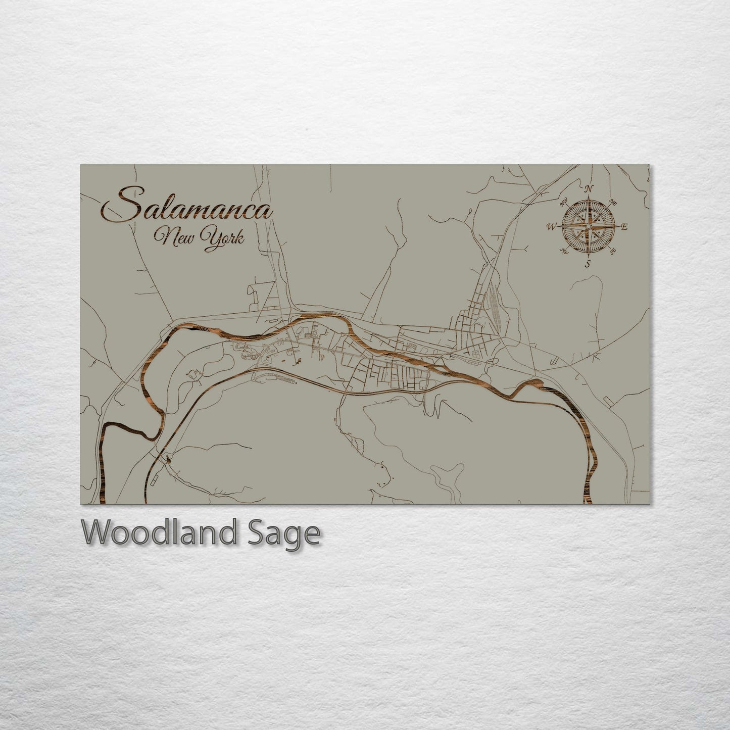 Salamanca, New York Street Map