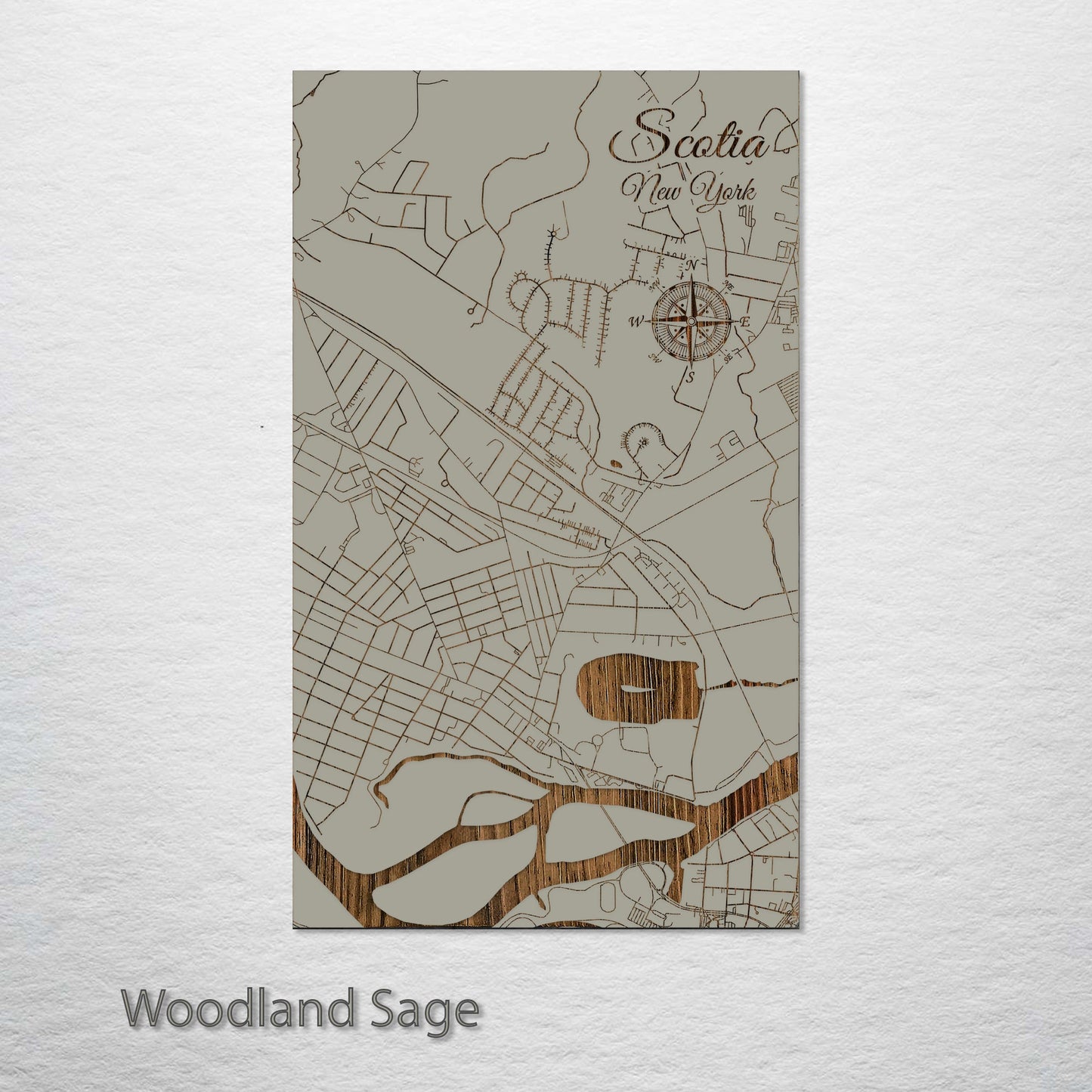 Scotia, New York Street Map