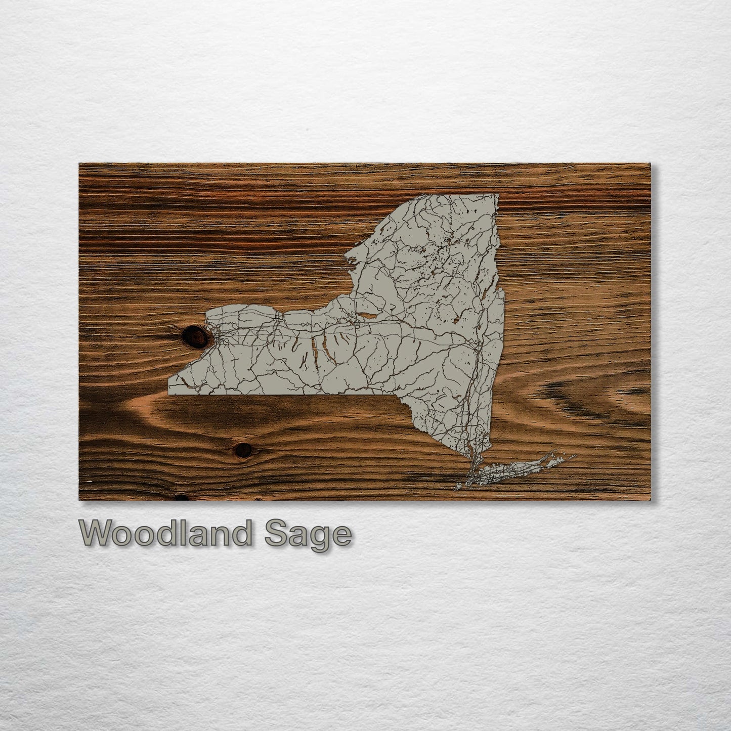 New York Isolated Map