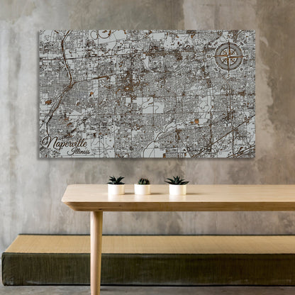 Naperville, Illinois Street Map