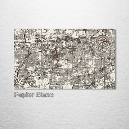 Naperville, Illinois Street Map