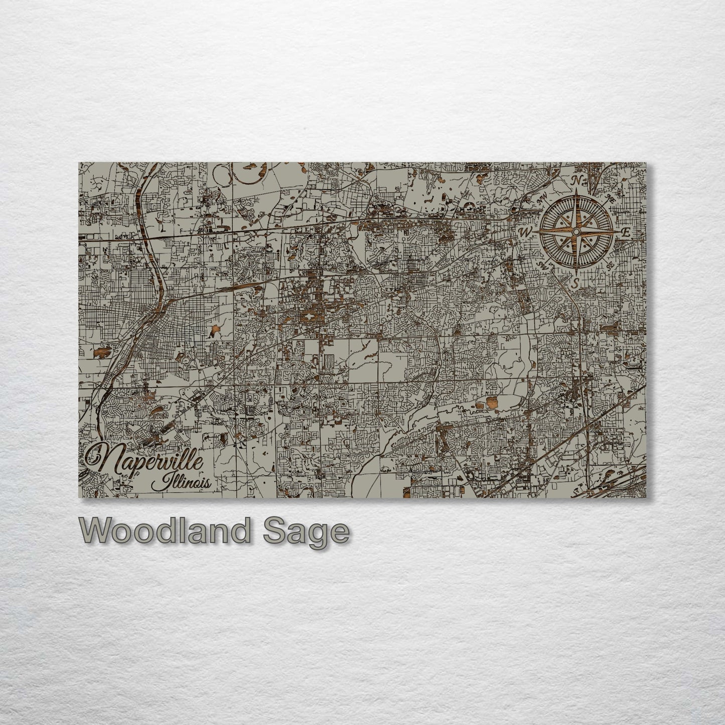 Naperville, Illinois Street Map