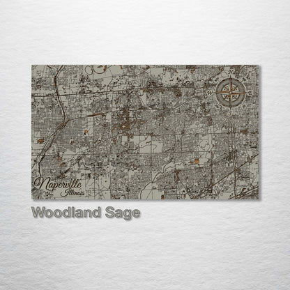 Naperville, Illinois Street Map