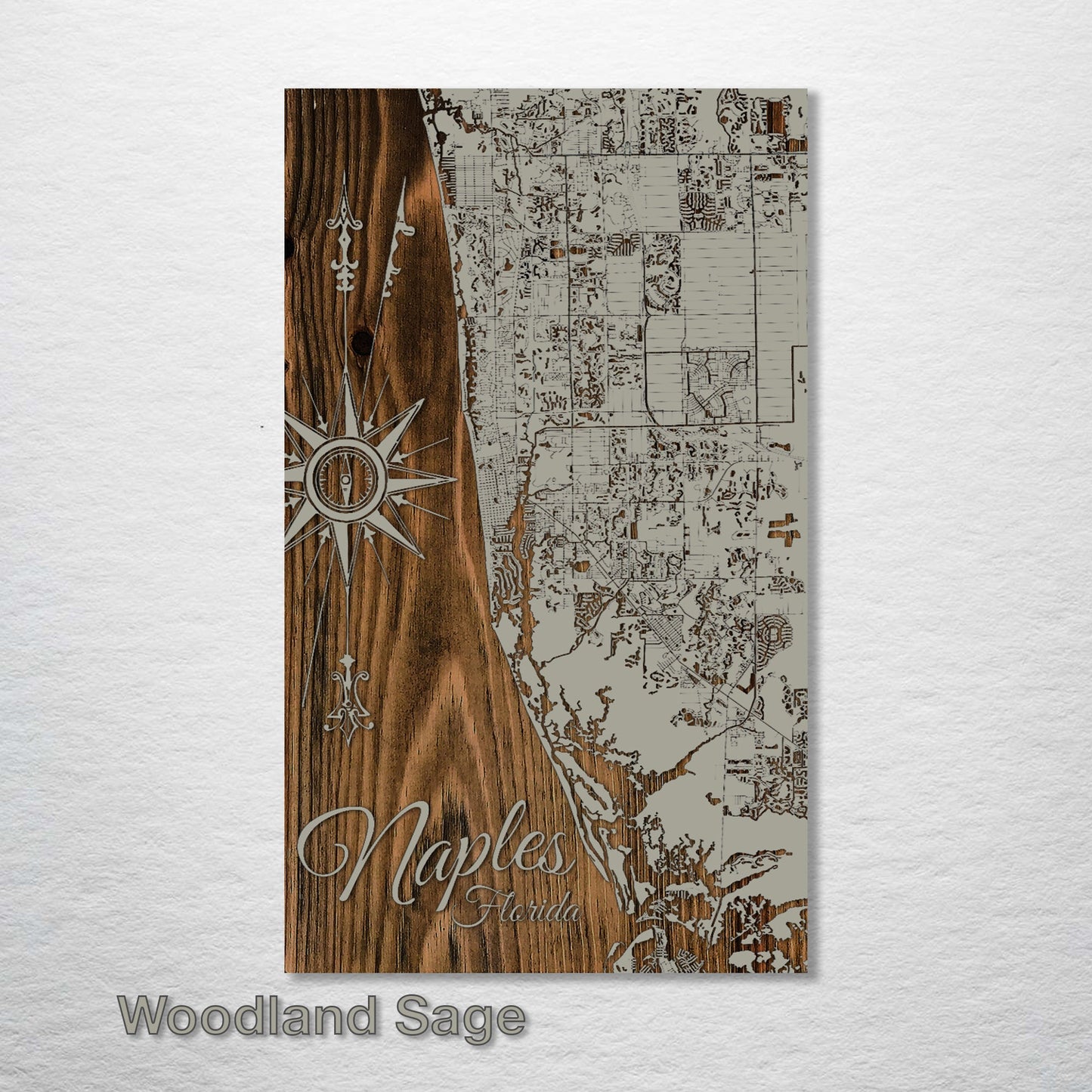 Naples, Florida Street Map