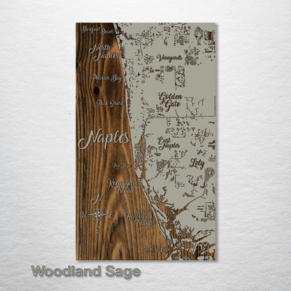 Naples, Florida Whimsical Map