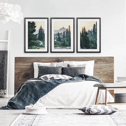 Mountain Forest. USA Wilderness Wall Art Set. Rampart Ridge