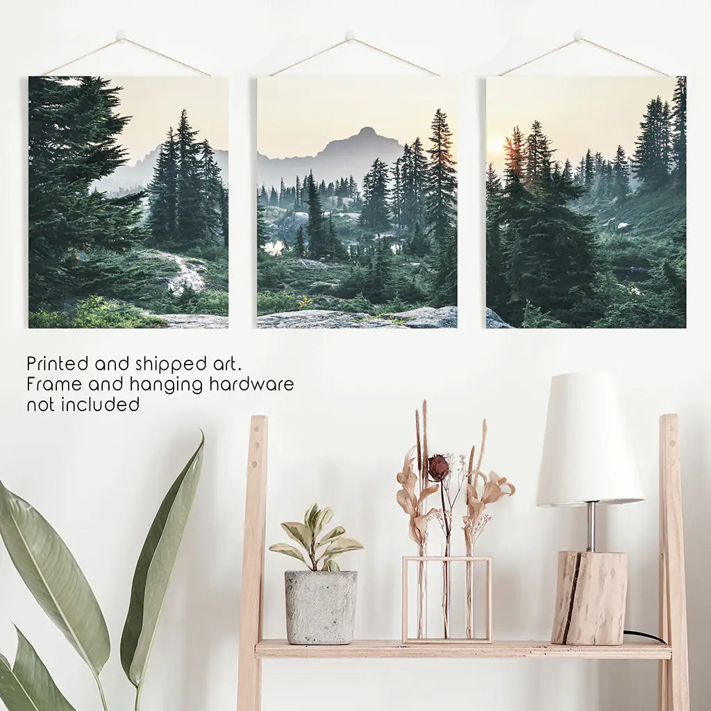 Mountain Forest. USA Wilderness Wall Art Set. Rampart Ridge