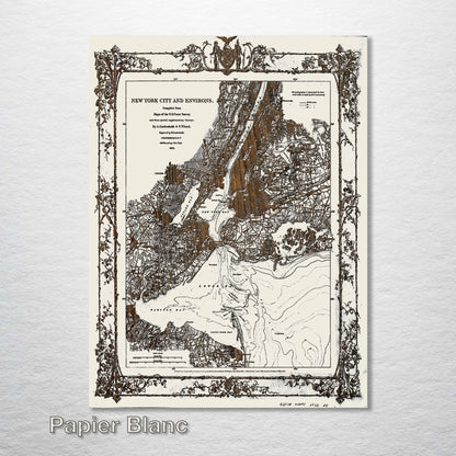 New York and Environs 1860