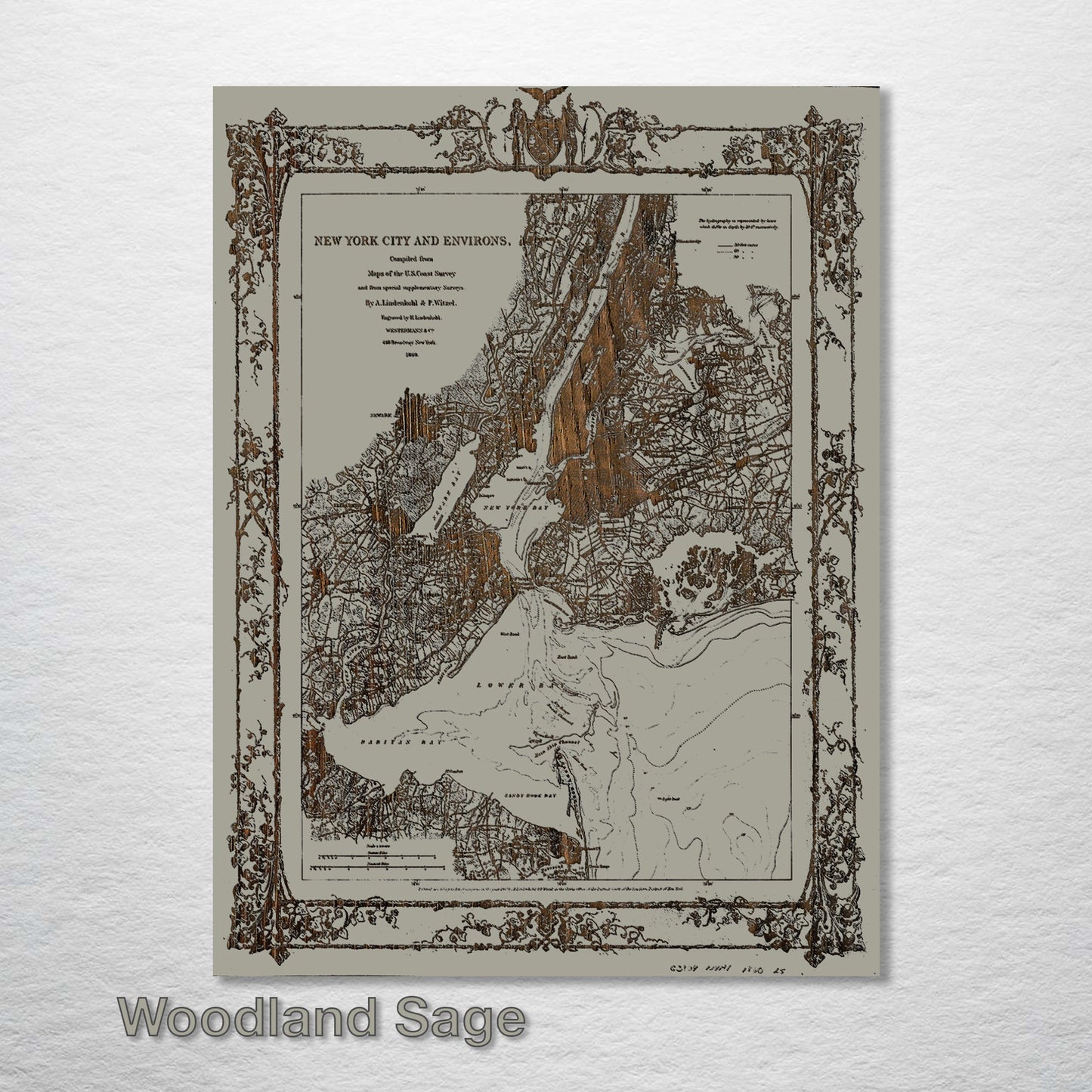 New York and Environs 1860